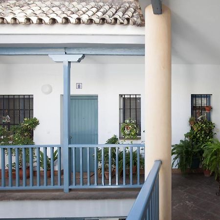 Espectacular Apartamento Con Terraza Privada Parking セビリア エクステリア 写真