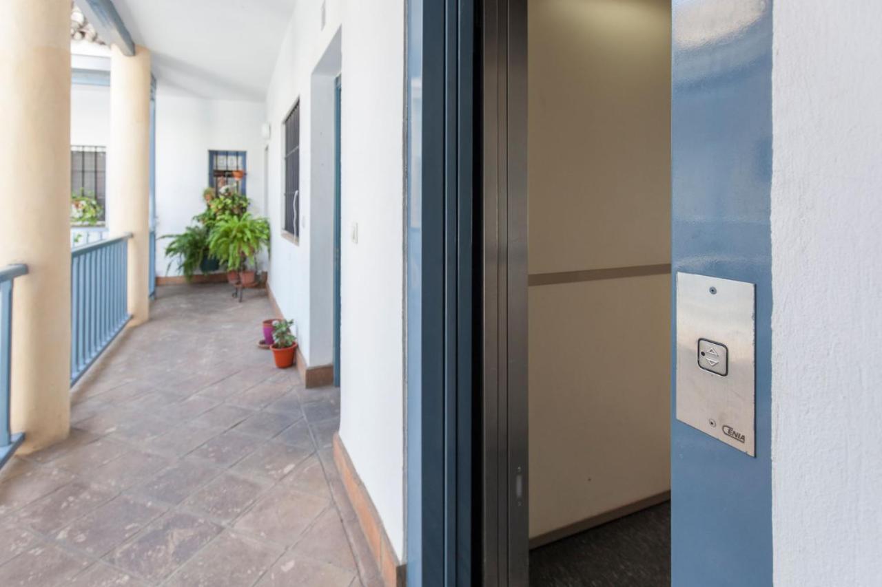 Espectacular Apartamento Con Terraza Privada Parking セビリア エクステリア 写真