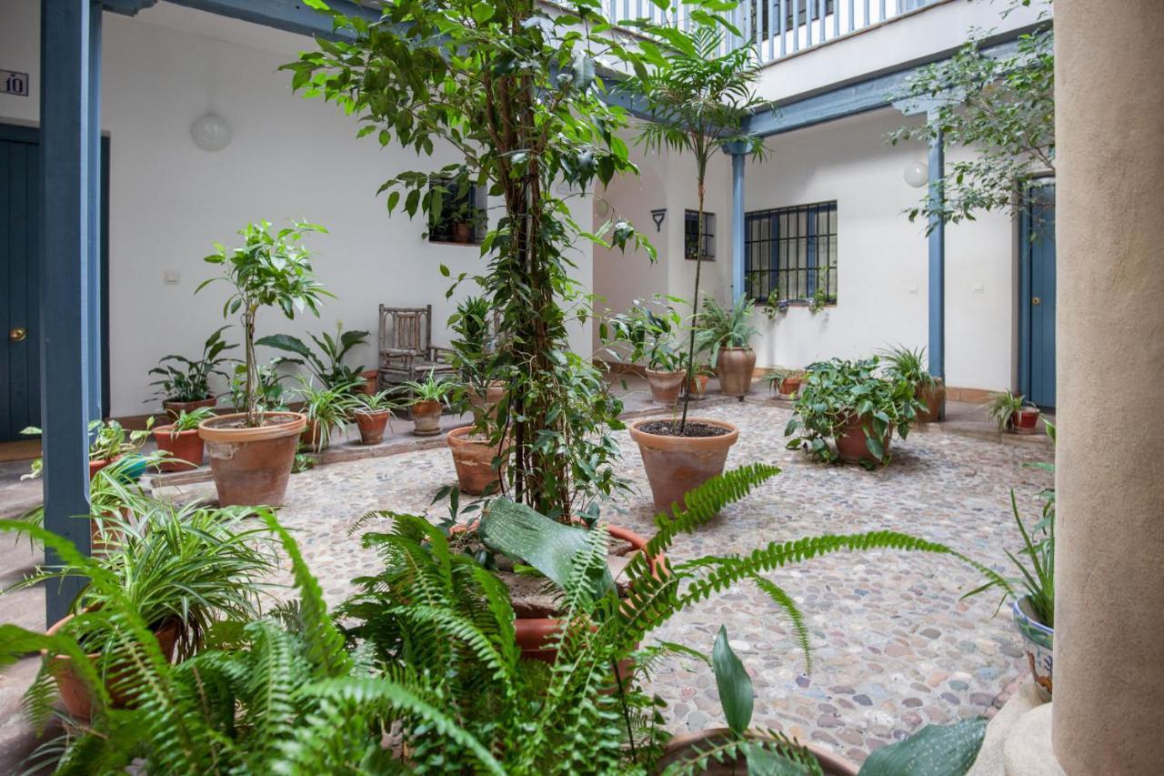 Espectacular Apartamento Con Terraza Privada Parking セビリア エクステリア 写真